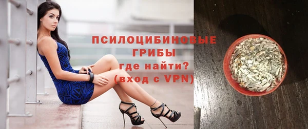 стафф Алексин