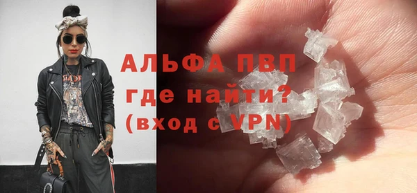 стафф Алексин