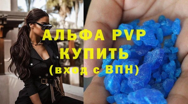 стафф Алексин