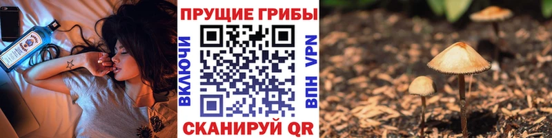 хочу Аркадак Псилоцибиновые грибы мухоморы