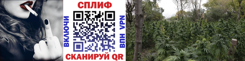 MEGA онион  Аркадак  Бошки Шишки гибрид 